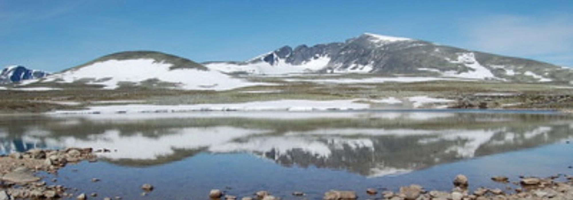 4 dagers tur på Dovrefjell: Snøheim - Snøhettamassivet - Kongsvold