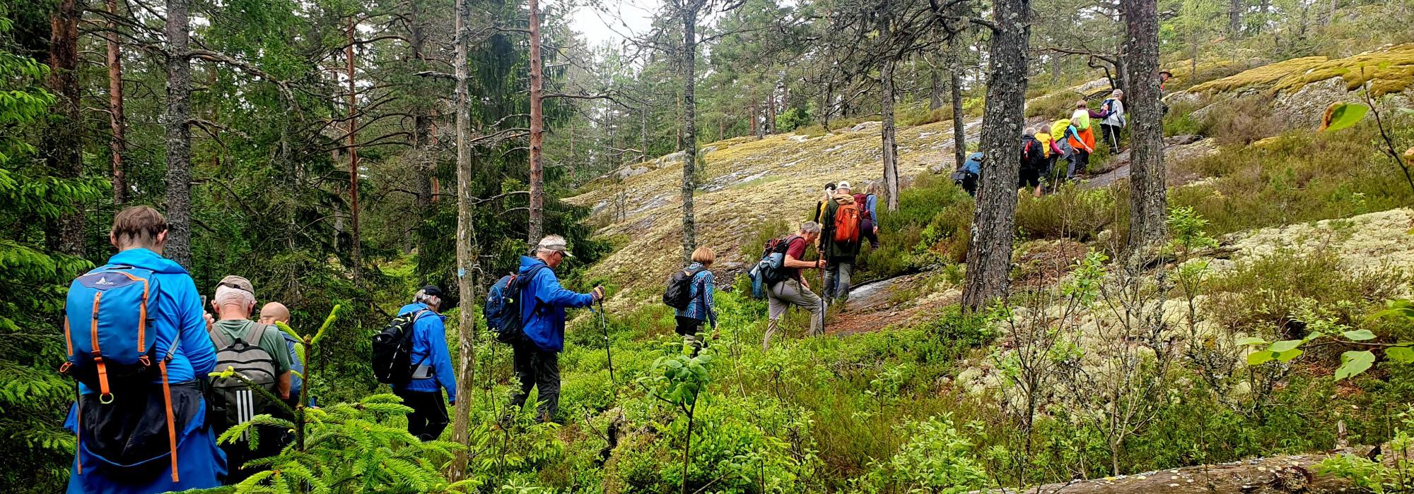 Rundtur i Sørmarka (2)