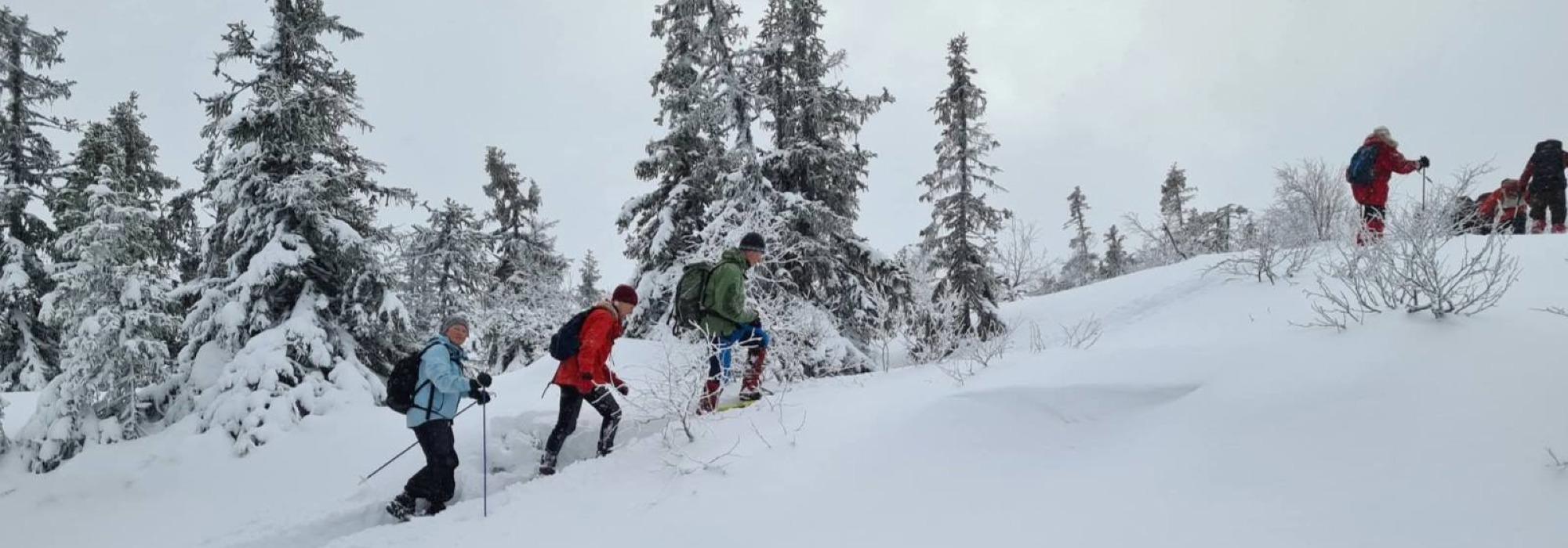 ÅSGRUPPE - MANDAGSTURER PÅ ØSTRE TOTEN: FISKELAUSHØGDA