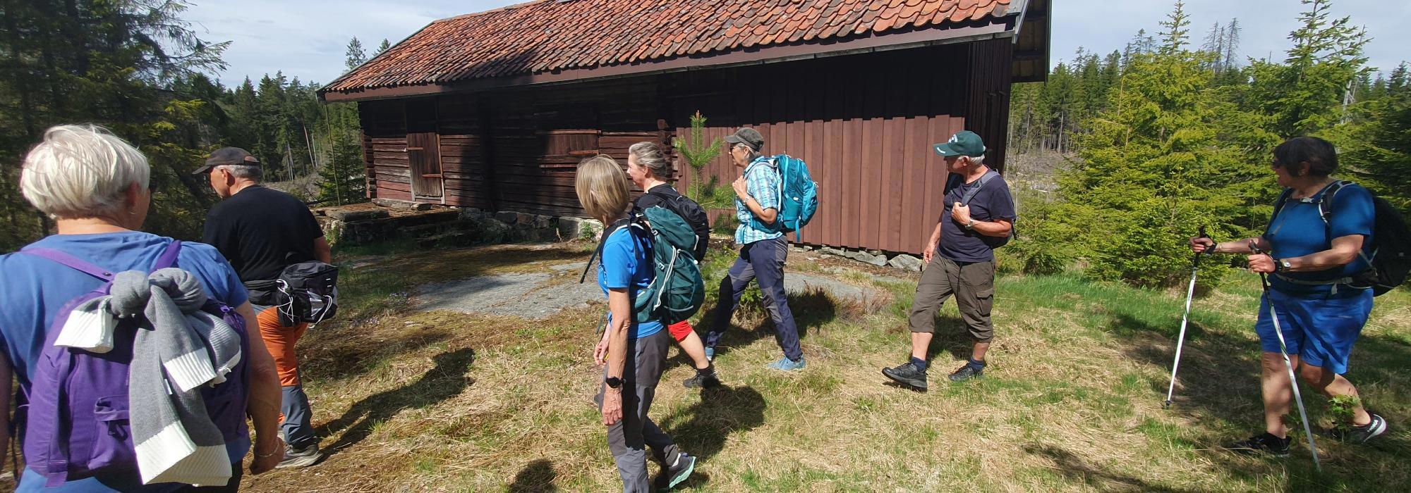 Gaupesteinmarka fra sør til nord. NB: START KLOKKEN 10:00.