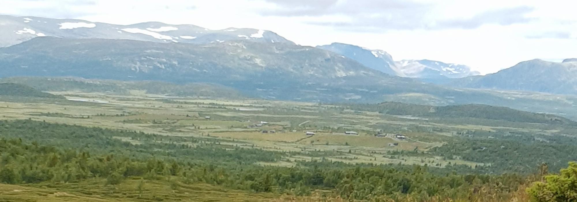 Synet, 1137 moh - Kremtopp 2026