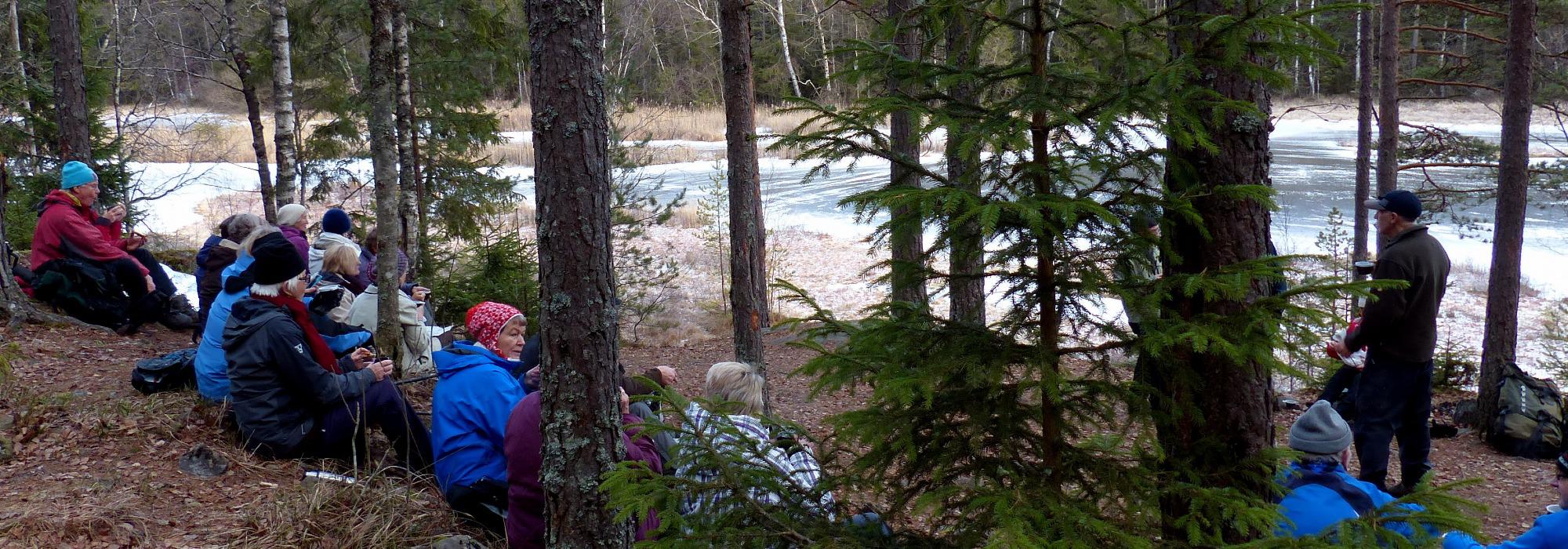 Grønn rute, Nydalen til Skøyen