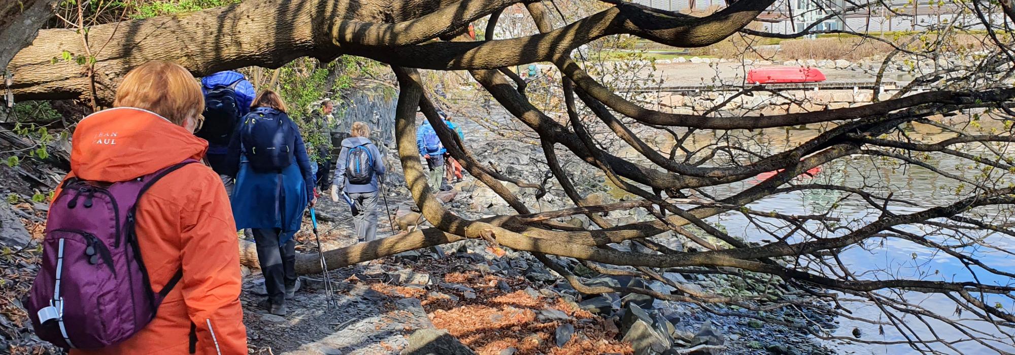 Lysakerelven fra Bogstad til fjorden