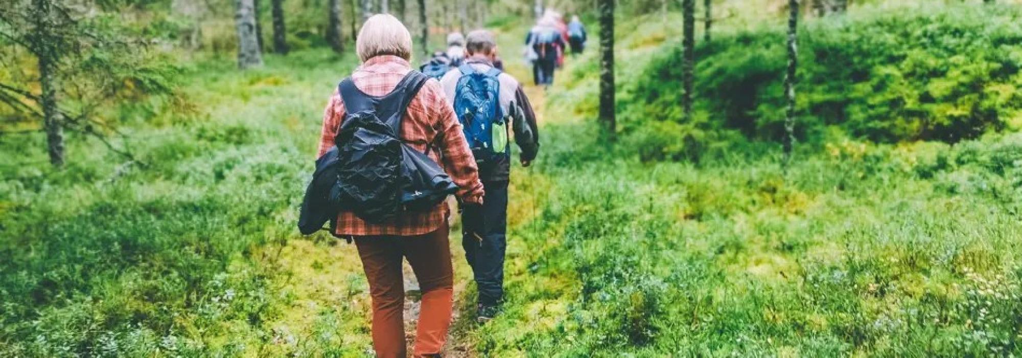 Tirsdagstur fra Bryn - Svartdalen - Klosterenga - Oslo S
