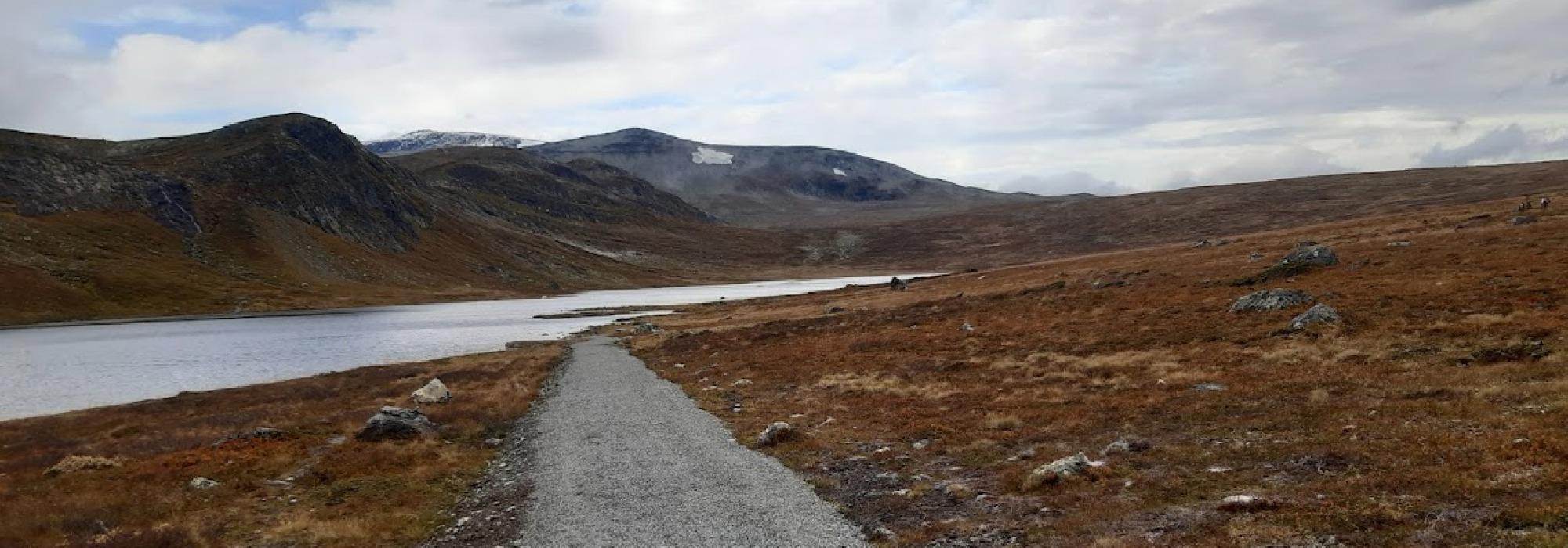 Tur til Rjupetjednet for rullestolbrukarar og fottur for andre med rørslehemming