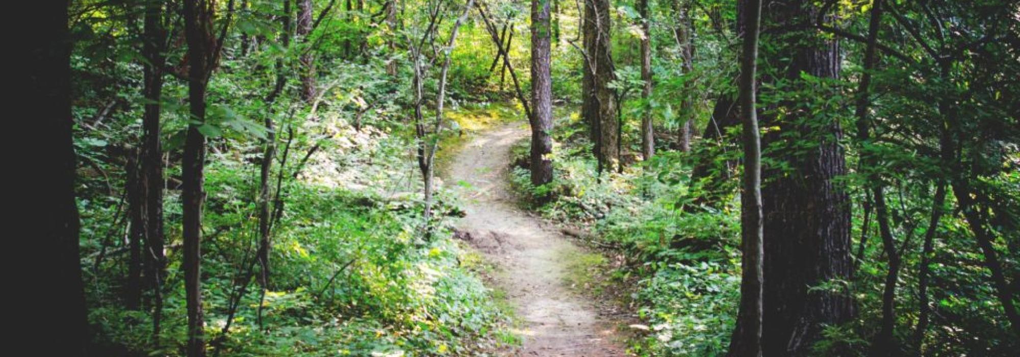 KVELDSRUNDE RAUFOSS ØST