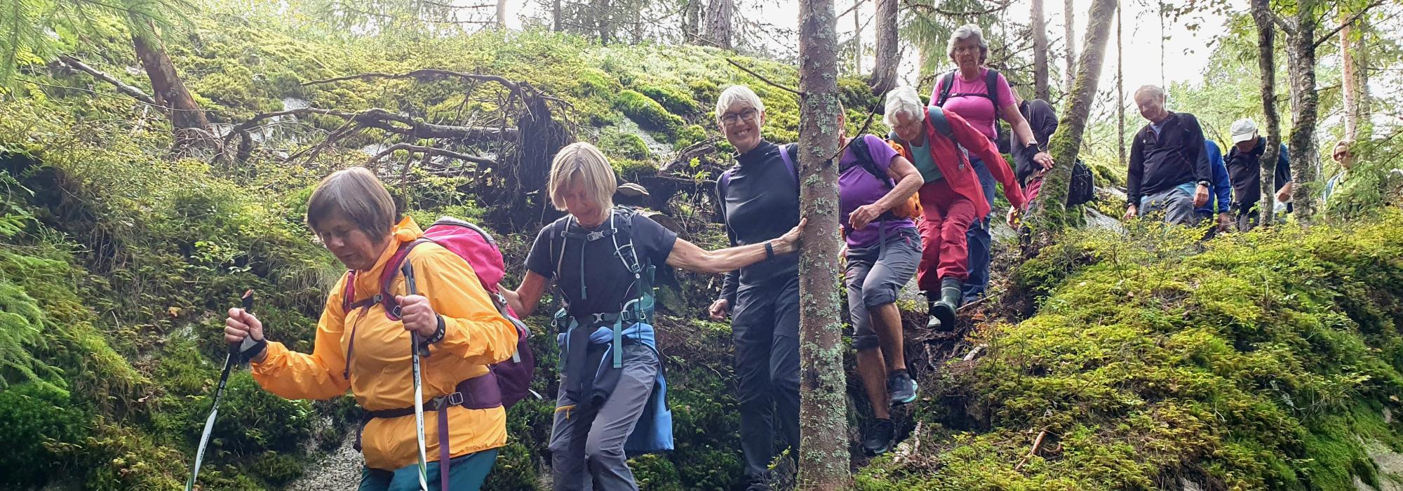 Rundtur i Sørmarka (3)