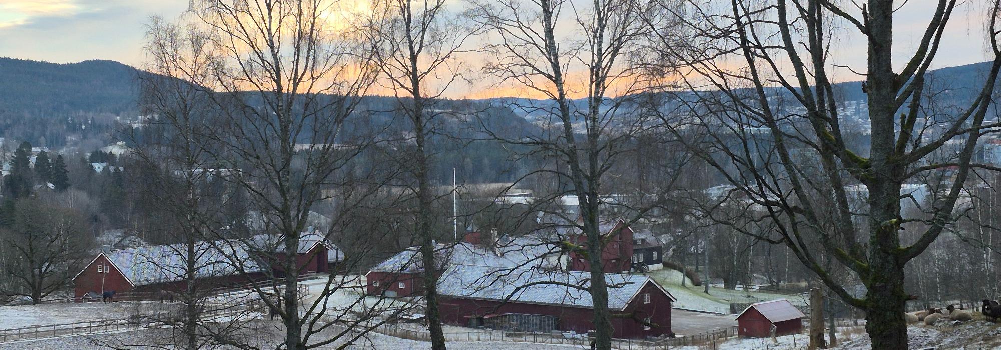 Vintertur i Rotnesområdet