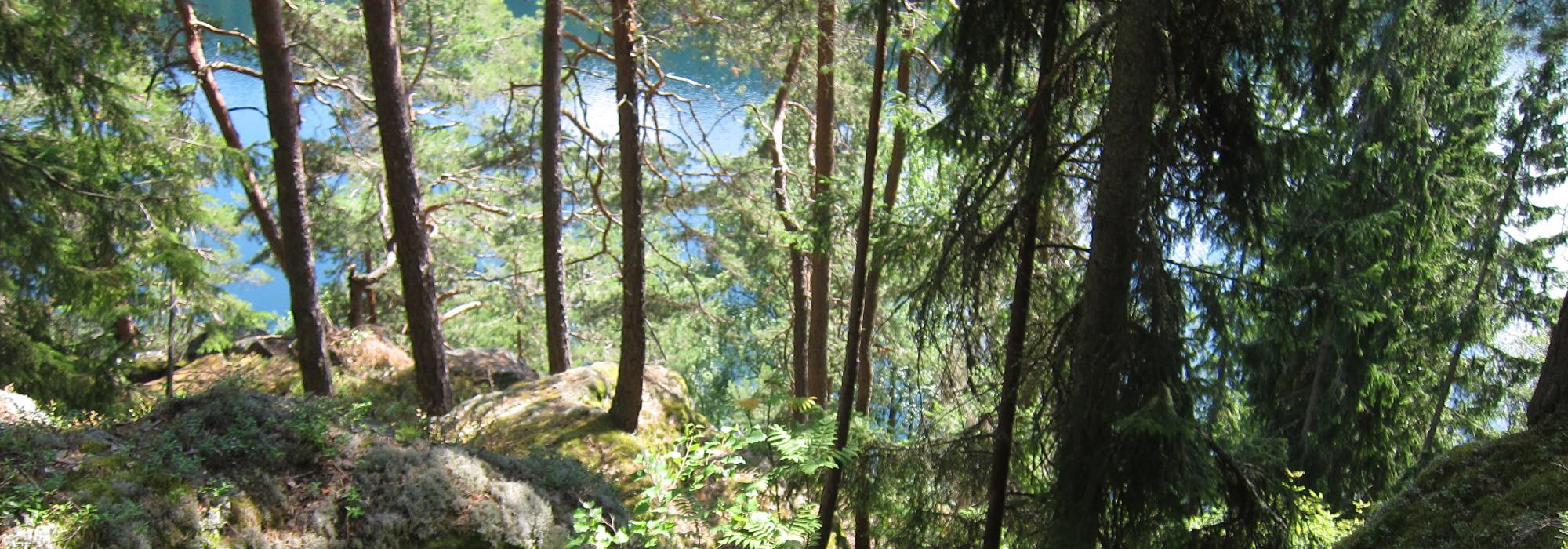 I Østmarkas nordvestre hjørne