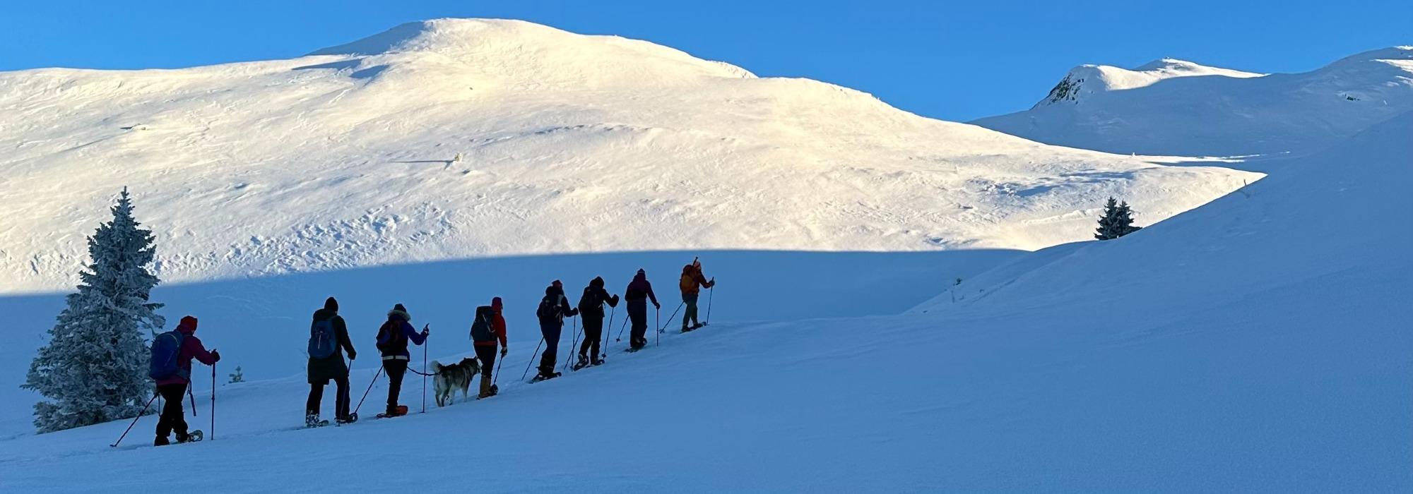 Trugetur på Holtjønnpiggen på Raphamn