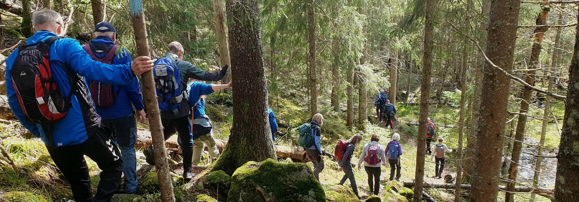 Østmarka fra nord til sør