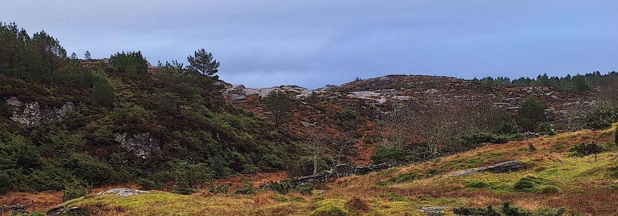 Onsdagsgruppen på tur Halsvarden-Skoge-Åse