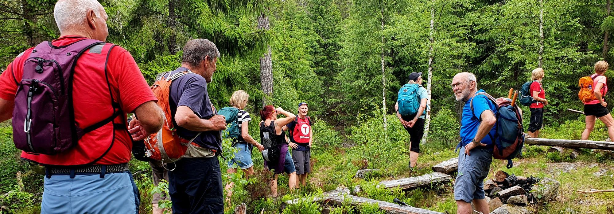 På jakt etter skautraverposter i Gaupesteinmarka