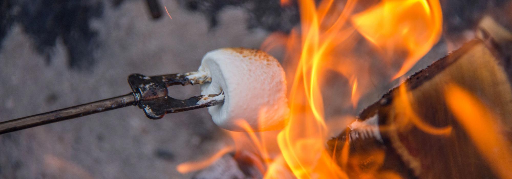 Vårtur til Blankvann med Barnas Turlag