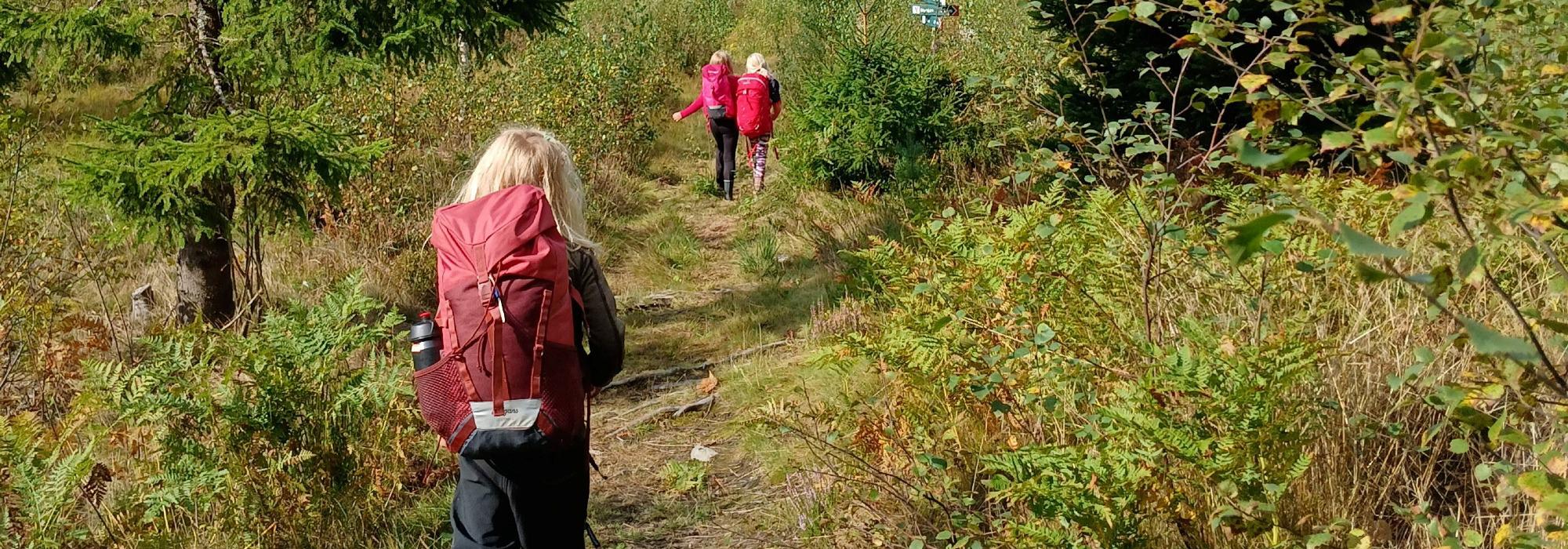 Natt i naturen med Barnas Turlag