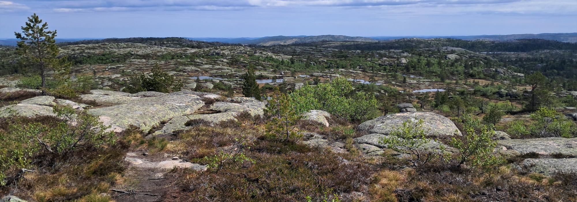 Dagstur til Grønnlifjell