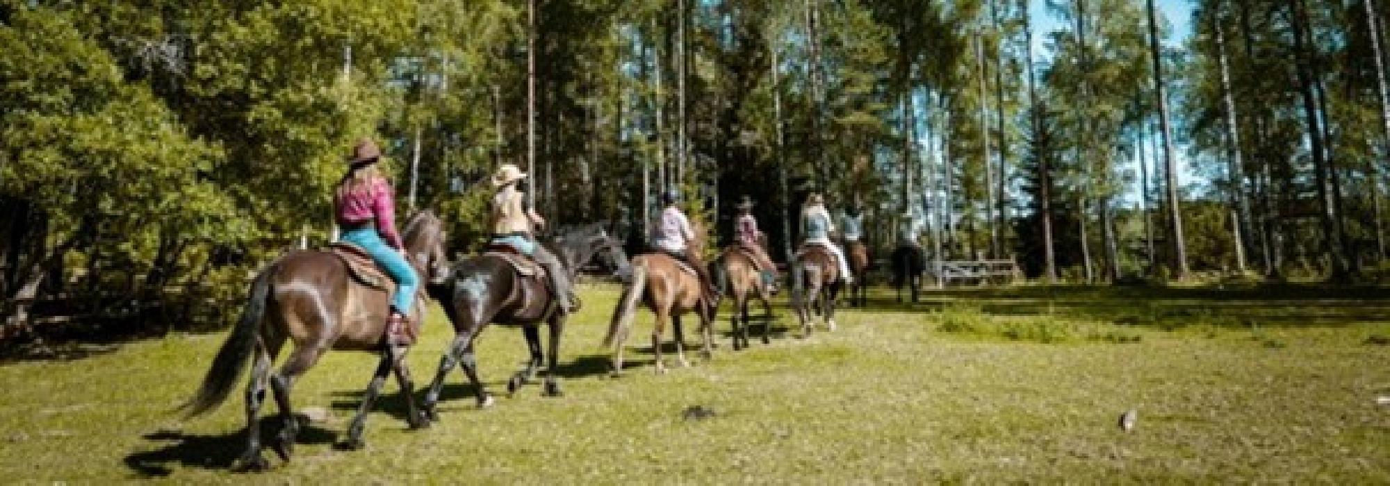 Juniortur i skogen på hesteryggen