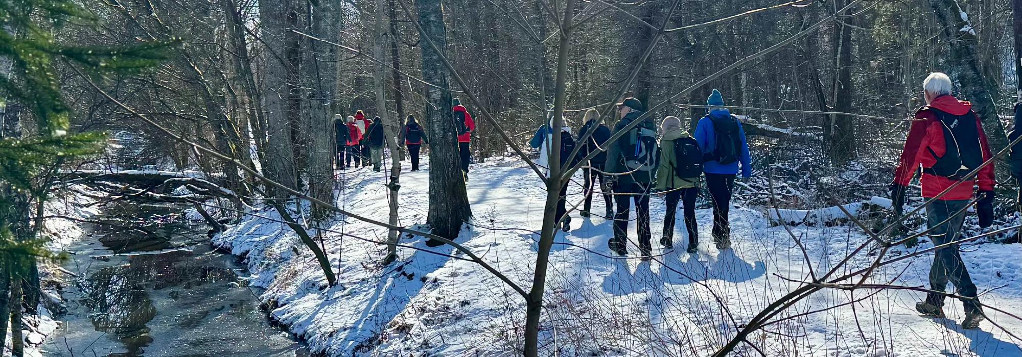 Nærtur fra Ellingsrud