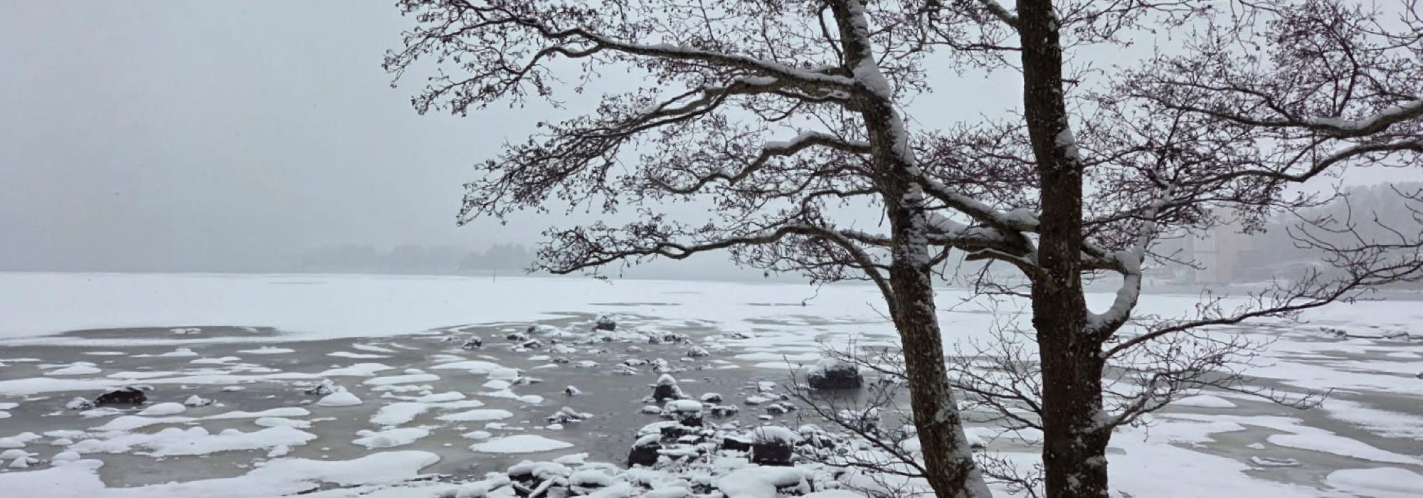 Onsdagstur i Bøkeskogen