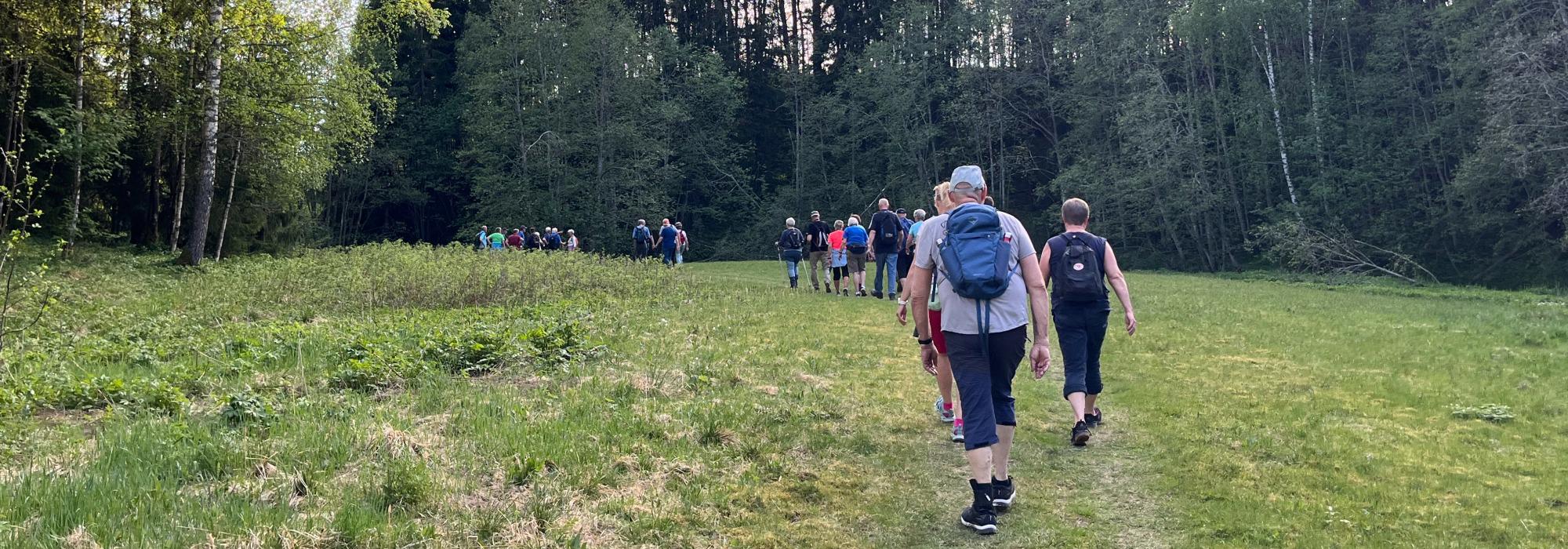 Kveldstur sentrumsnært