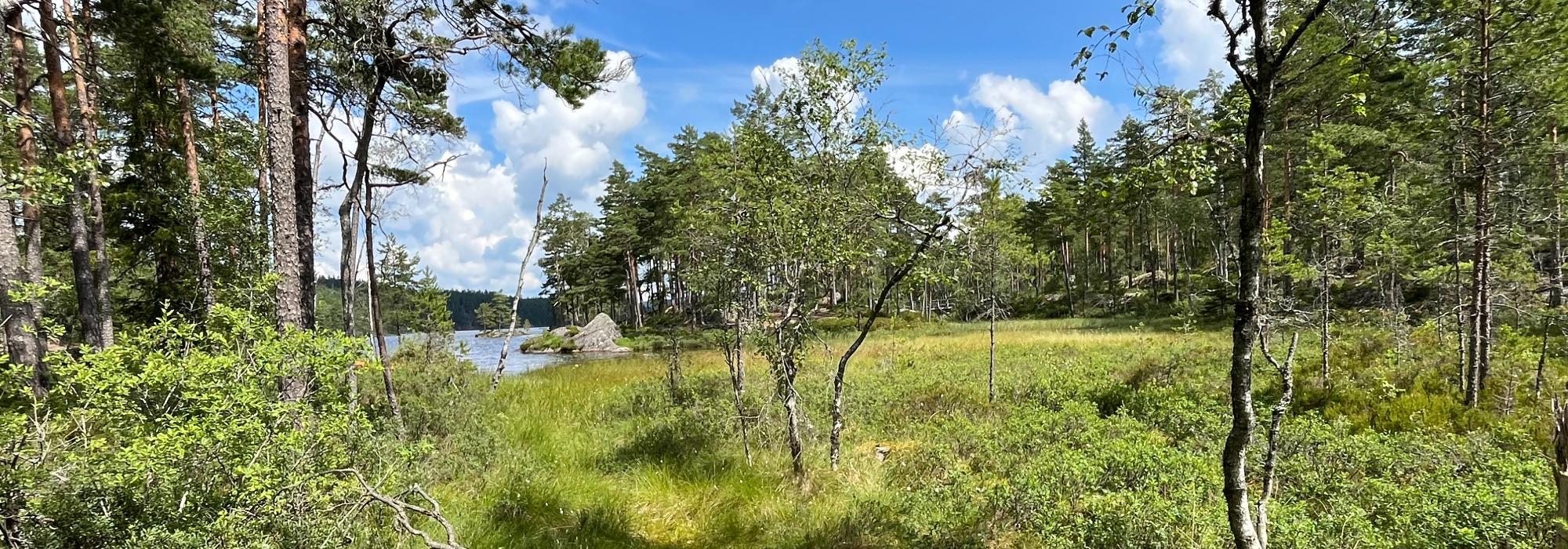 Ny rundtur fra Frøne