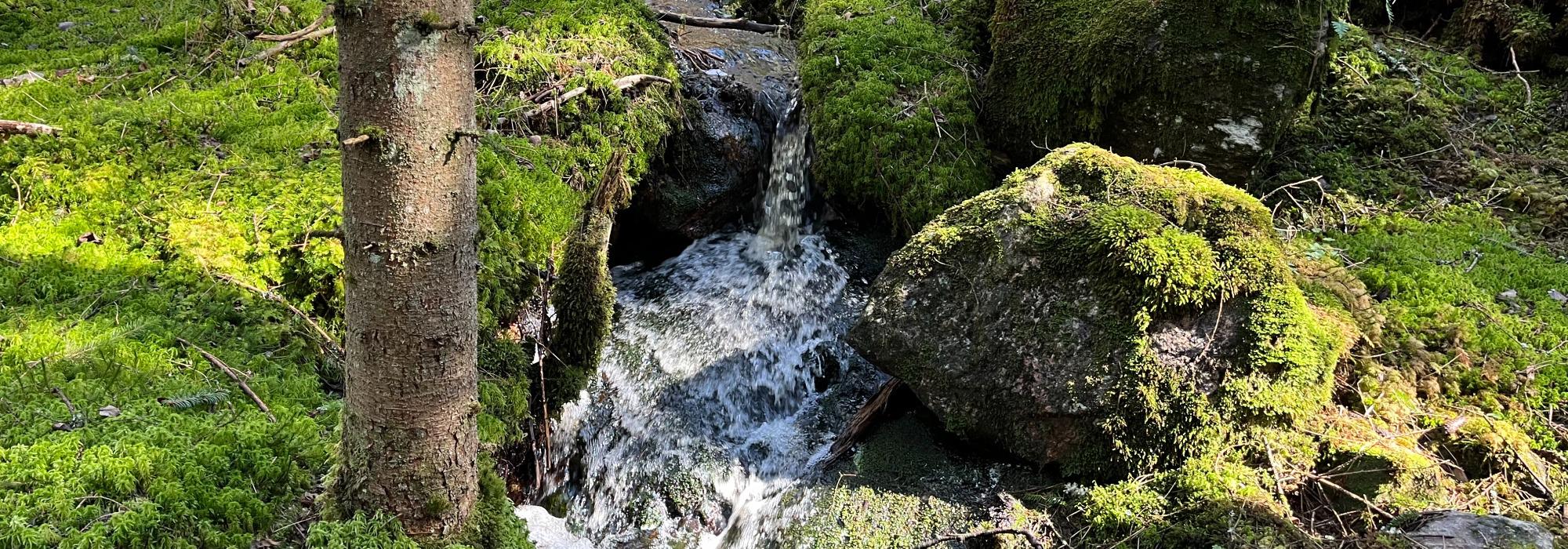 Ny historisk gruvetur fra Sandbekk Mølle