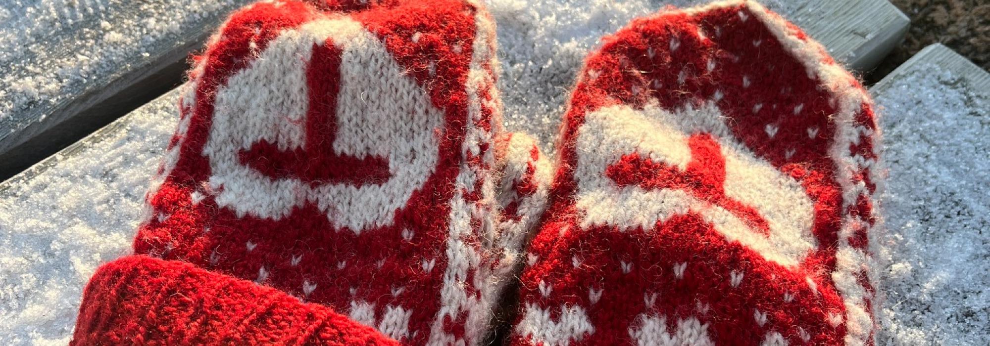 Tur og Badstue på Hvaler