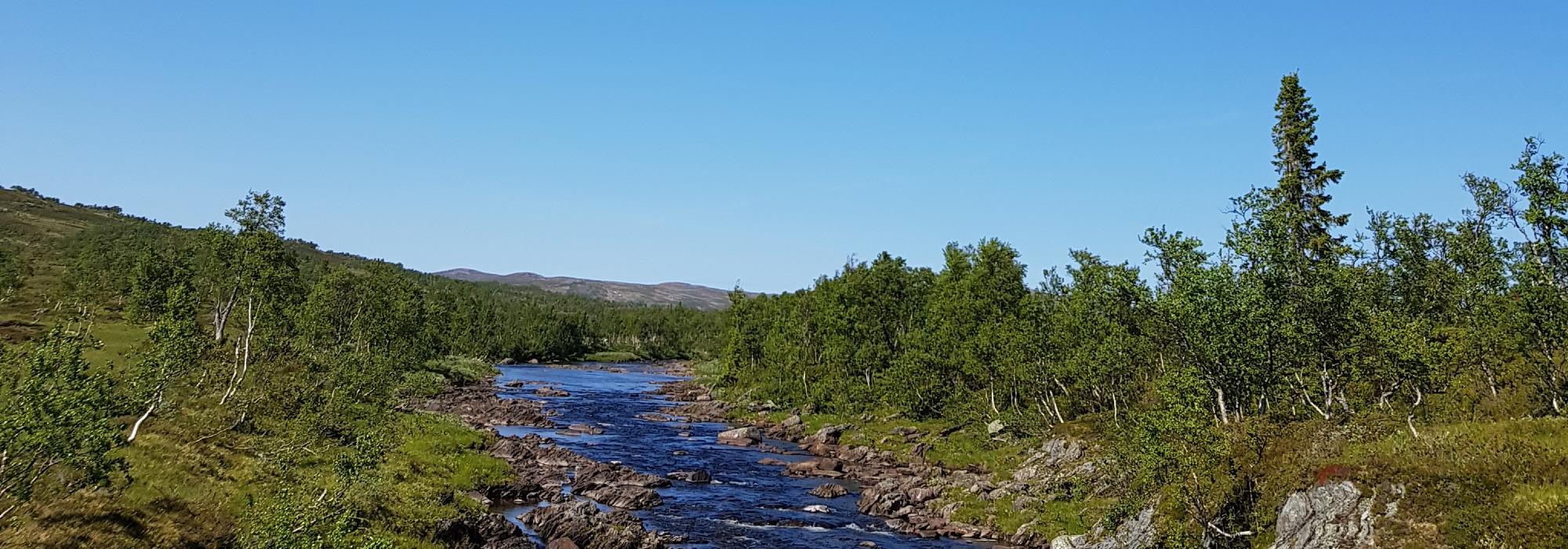 Sillermoen (Skarven turlag)