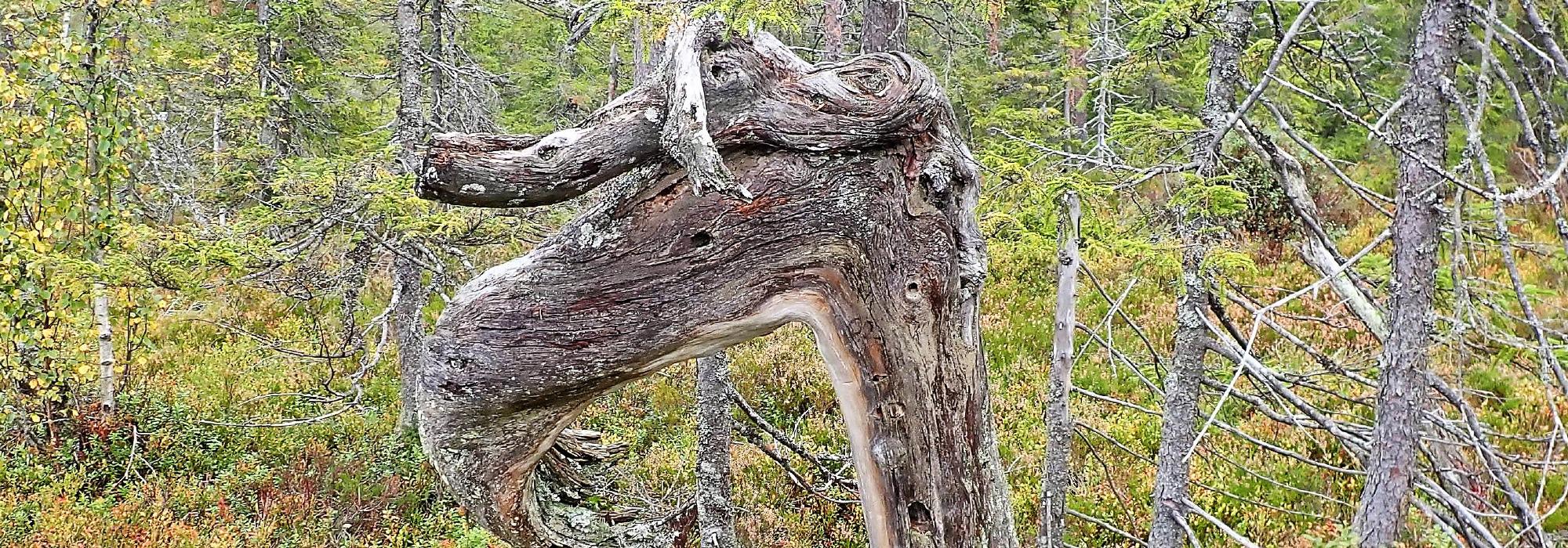Siggerud  Slettåsen Verpåsen