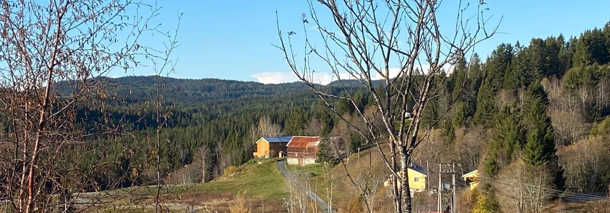 Veteranan Rundtur til Ballfjellet og Vårlihøgda (600moh) i Flåmarka***