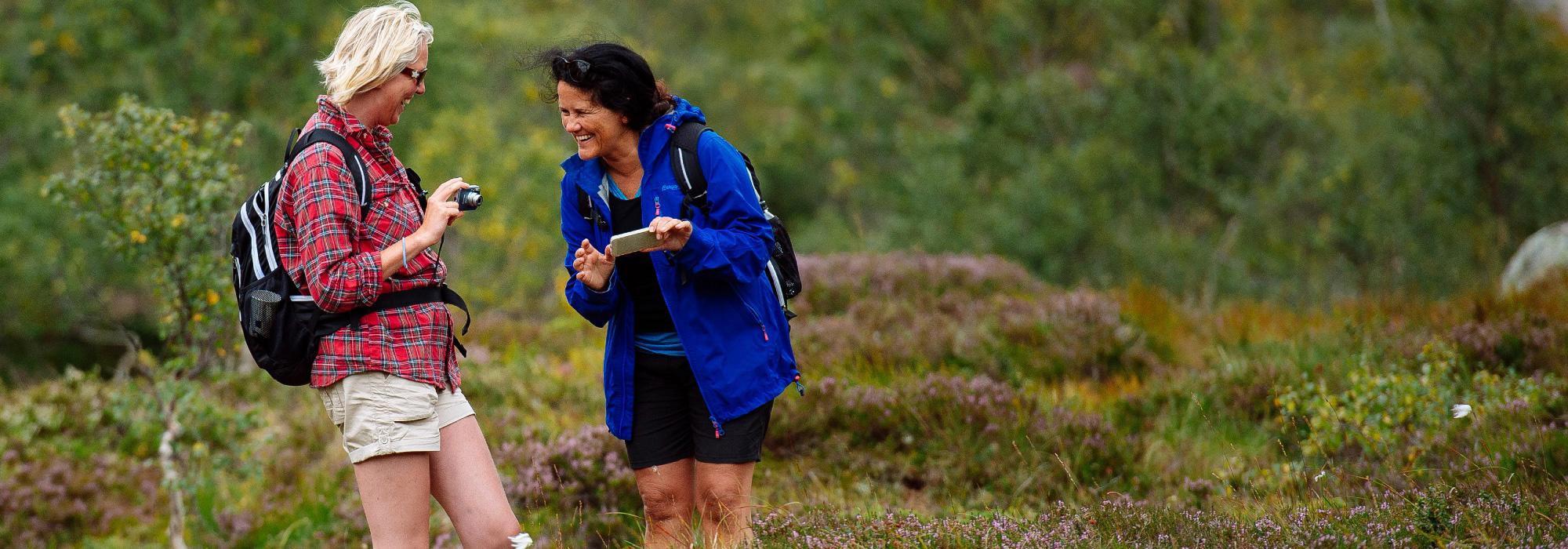 Internasjonal Kvinnegruppe - Kristiansand , Sommeravslutning
