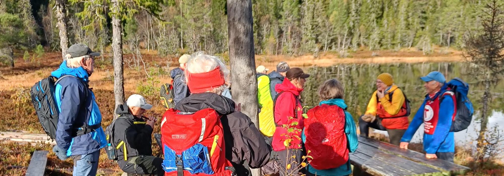 Veteranan Strindamarka aust og sentralt**