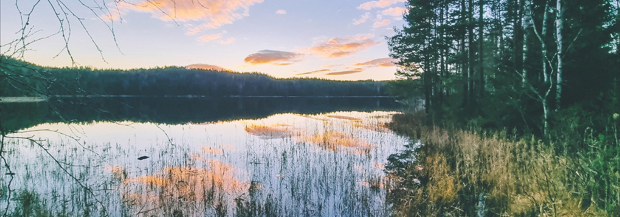 Bergvannet rundt, Nordskogen