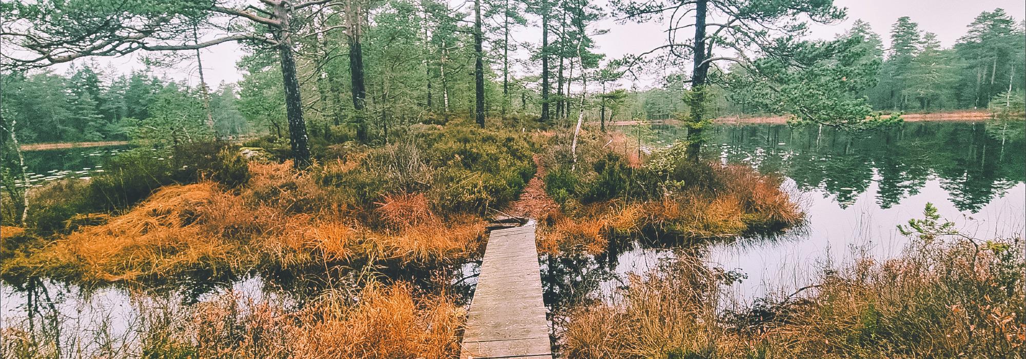 Vaffeltur til Einarbu fra Brattefoss, rundtur