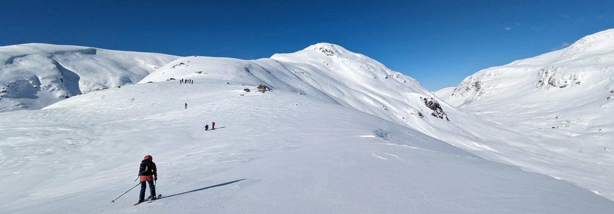 Topptur til Nesfjellet - 1207 moh