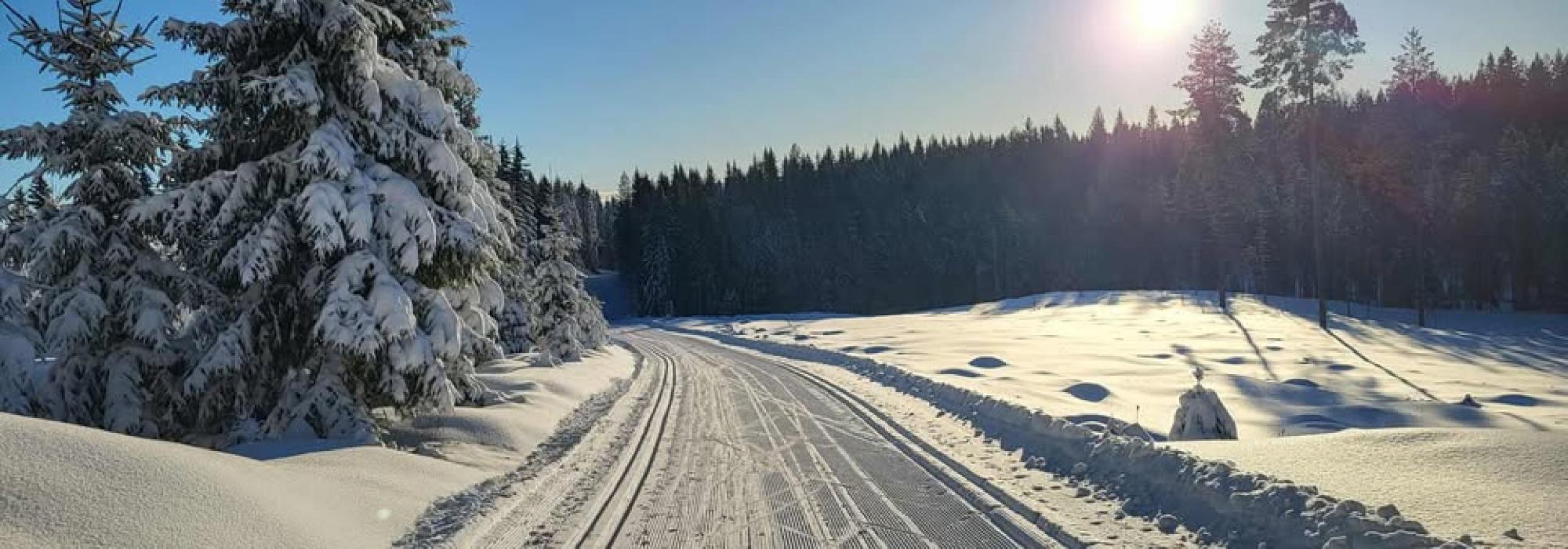 Skitur i marka innenfor Evjenhytta