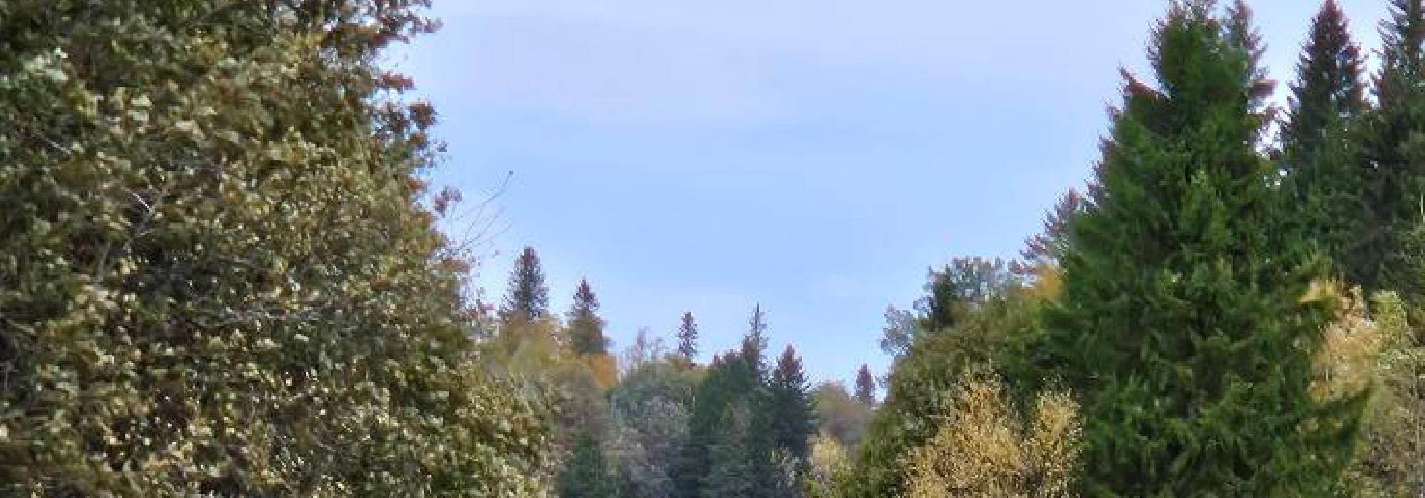 Veteranan Fra Skistua til Trolla**