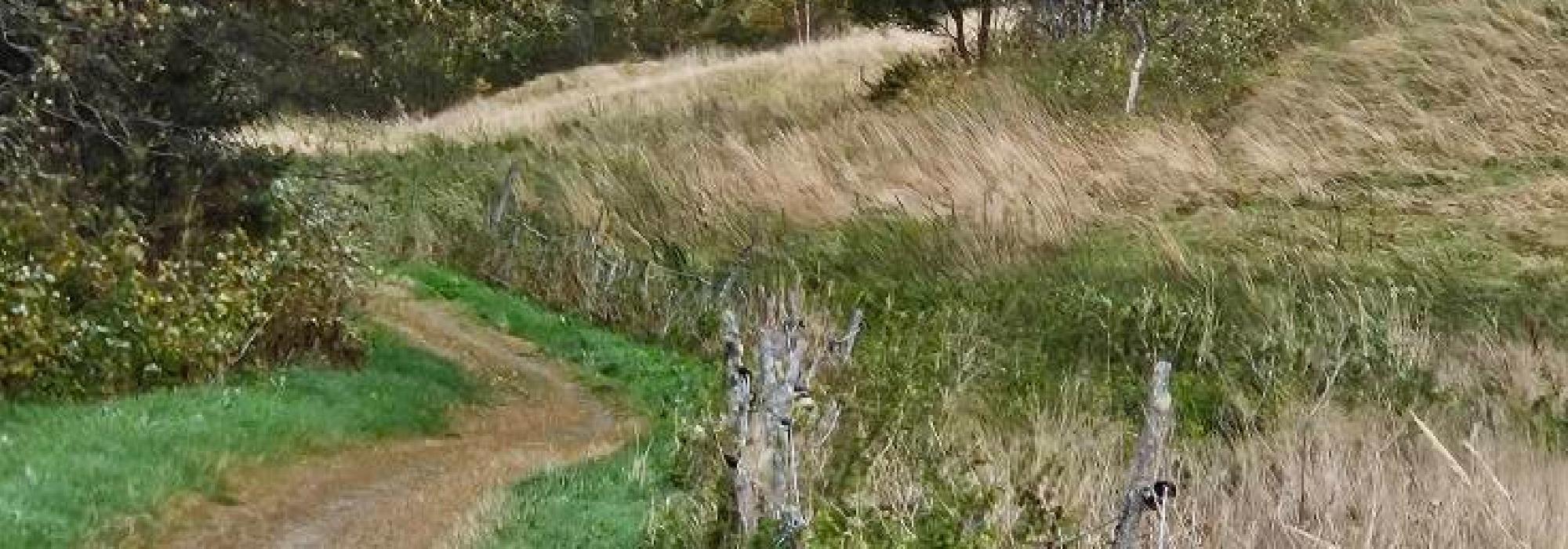 Veteranan Fra Tanem gjennom Tillermarka**