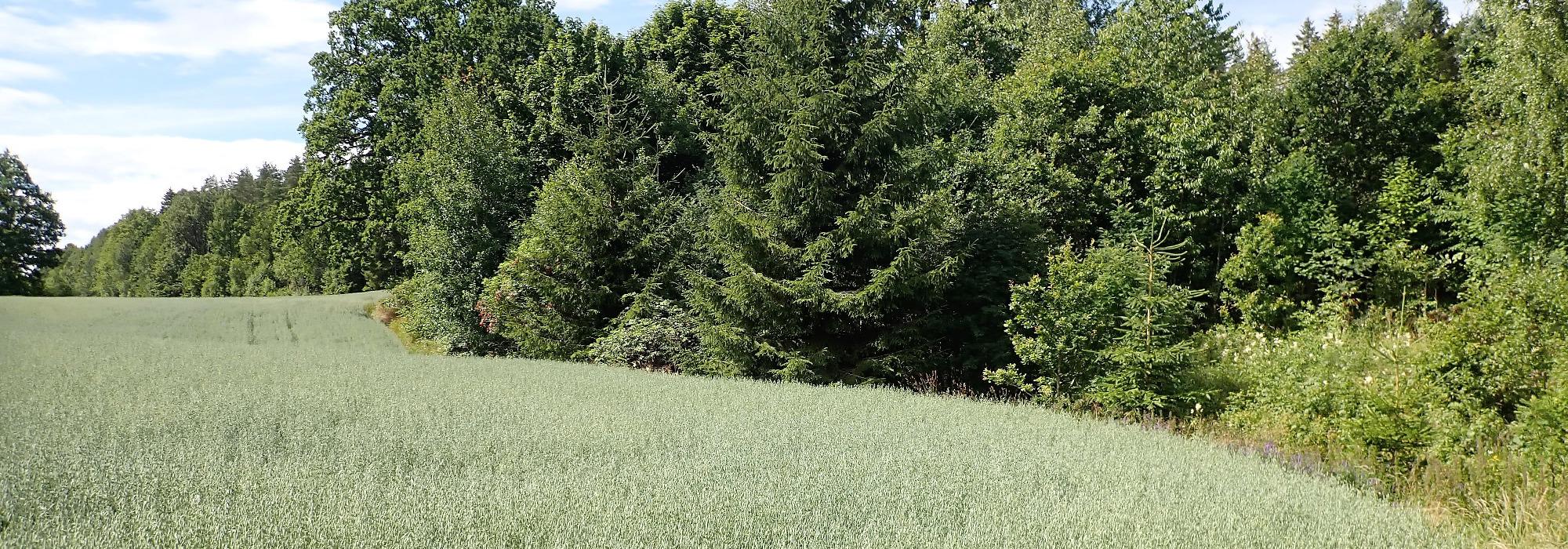 Sønsterud - Vevelstad