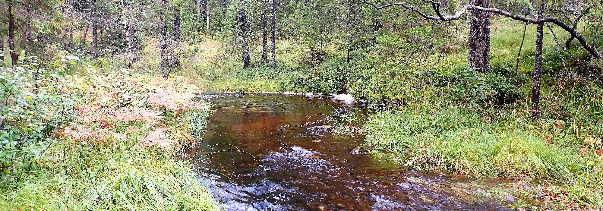 Grytåsen-Pinnåsen- Flatåsen