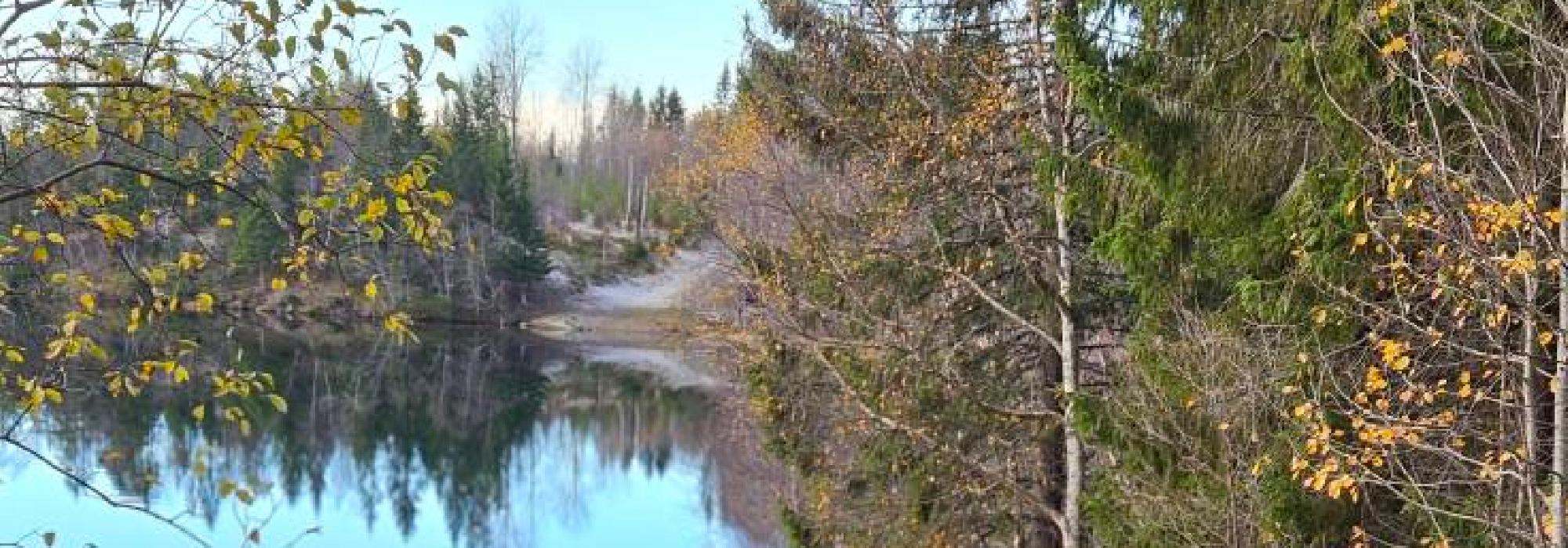 Veteranan Nidelva rundt – nesten**