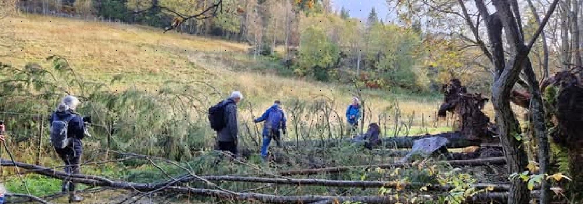 Veteranan Tur til Nyvatnet i Malvik**