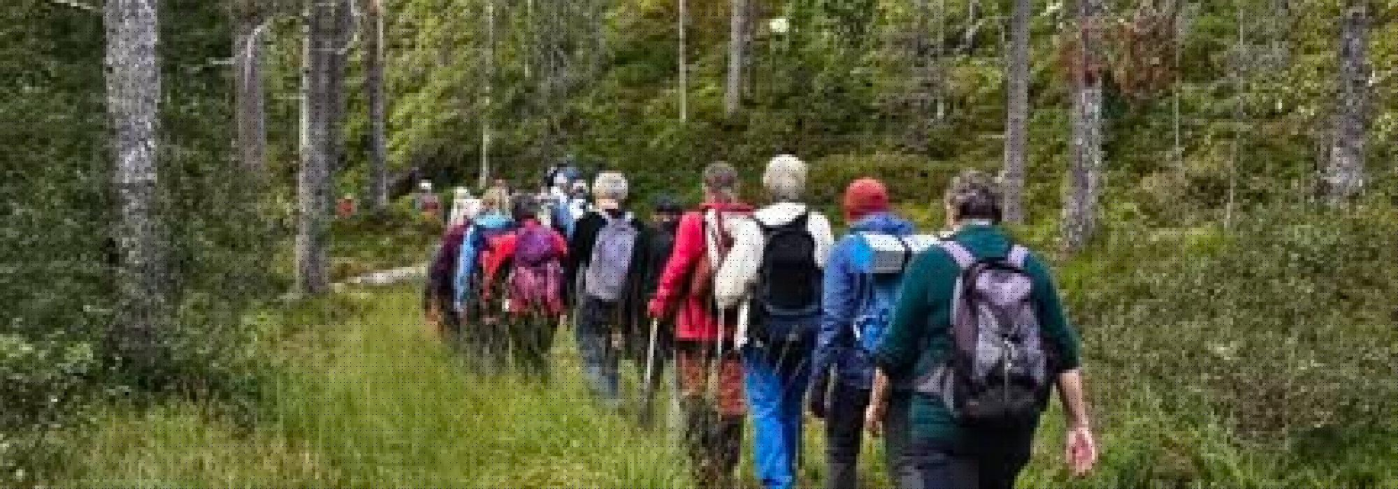 Veteranan Fottur fra Berg på Byneset til Lian***