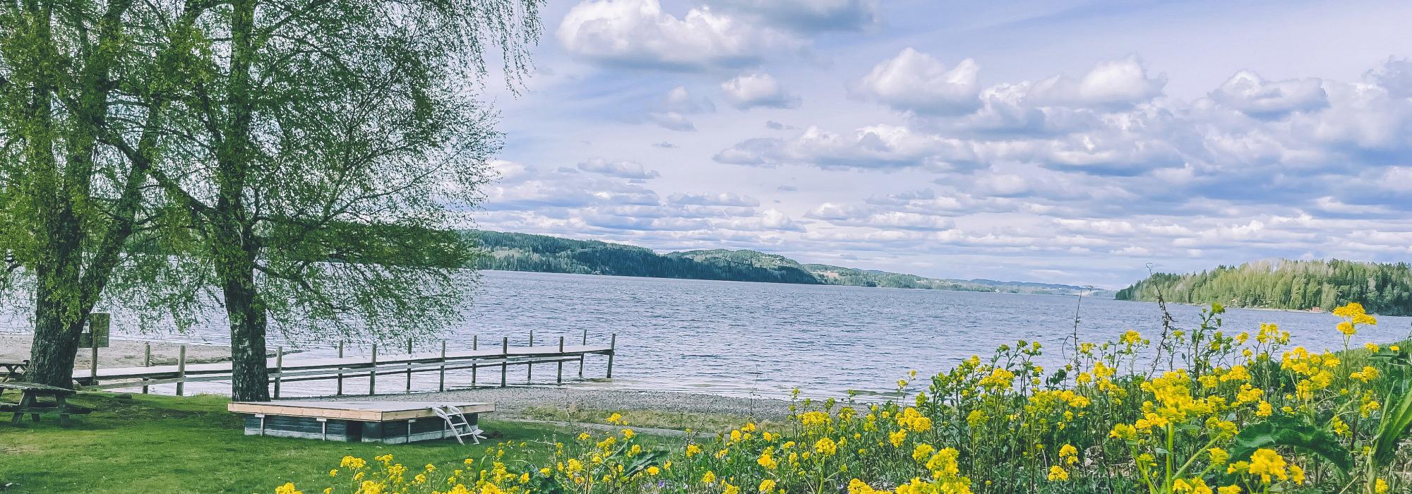 Vårtur langs Øyern