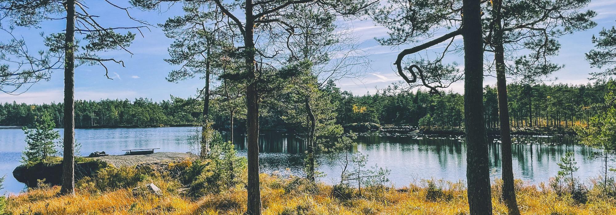 Fjella ut i det blå