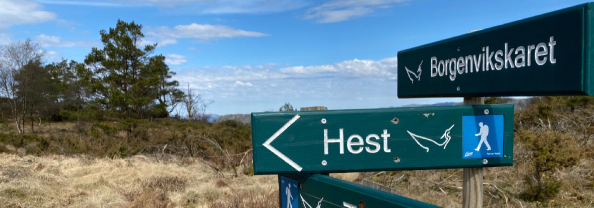 Rundtur i Tysvær om Hest og Borgenvikskaret