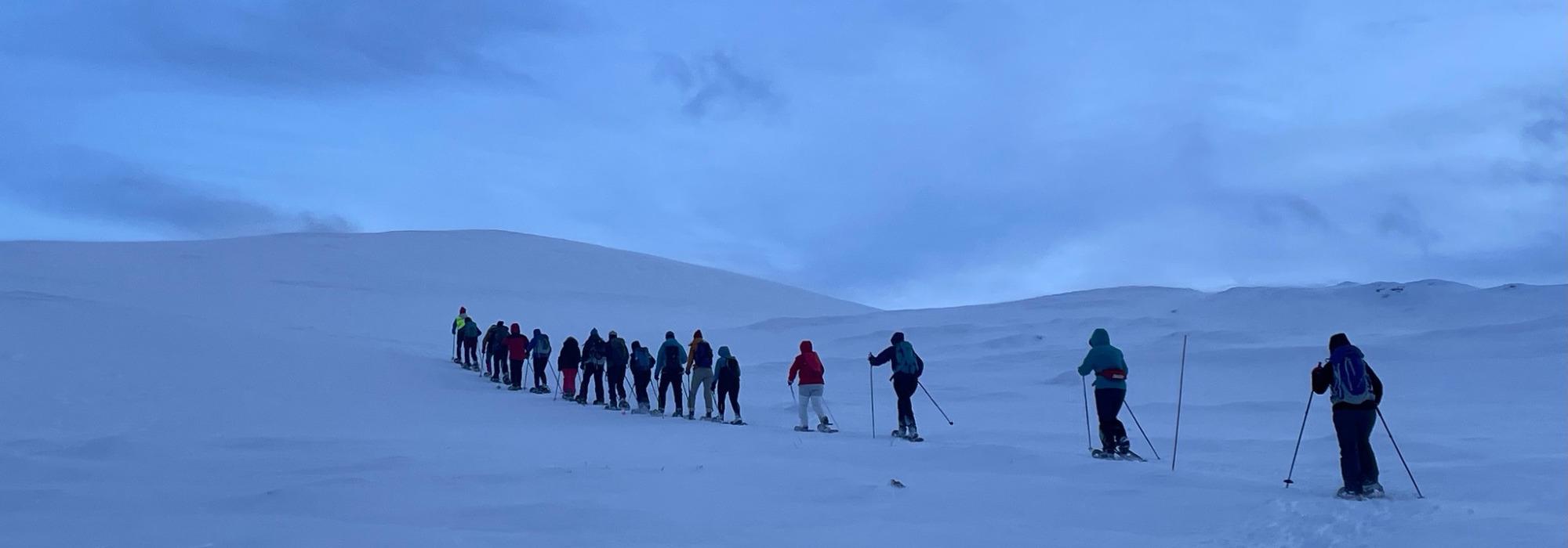 Trugetur til Sukketoppen - Kvamsfjellet