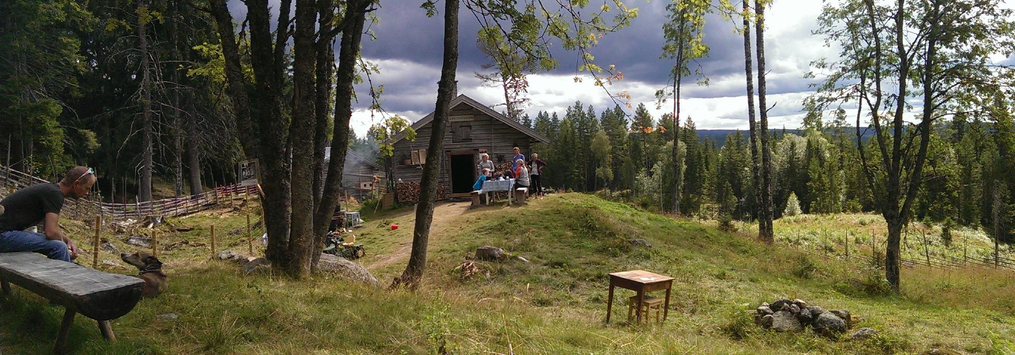 Sætervandring til Skålbergsætra