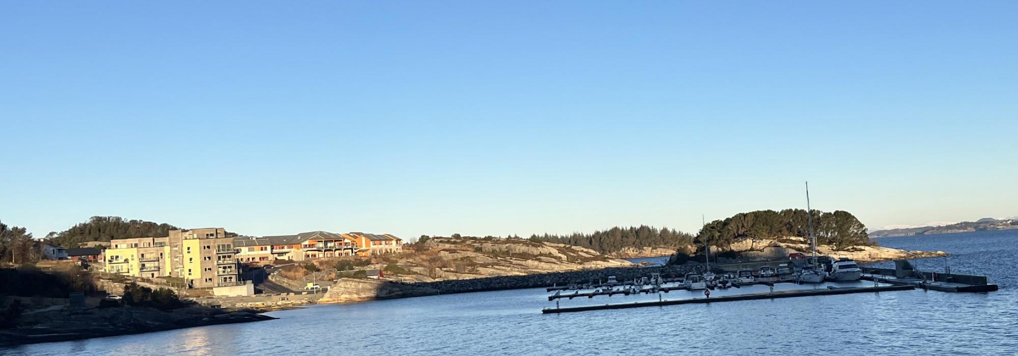 Hundevenner på tur | Rong