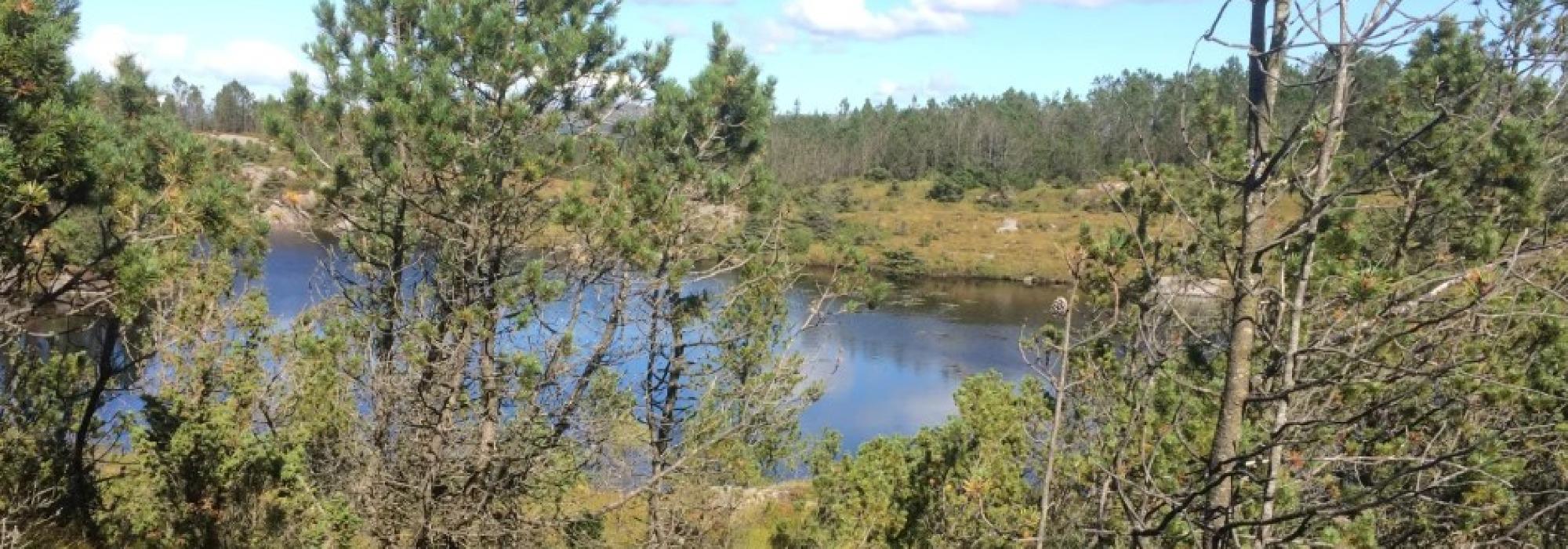 Bli med på en flott rundtur i Byheiene!